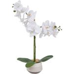 Orchidées artificielles Paris Prix blanches en céramique romantiques en promo 