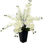 Pots de fleur blancs en bois de 50 cm diamètre 50 cm 