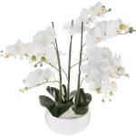 Orchidées artificielles blanches en ciment 