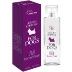 Parfums pour chien 