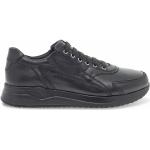 Paciotti - Shoes > Sneakers - Black -