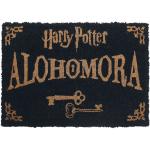 Tapis multicolores Harry Potter Harry 