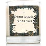 Panier des Sens Cedar Forest Bougie parfumée 275 g