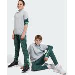 Pantalons de sport adidas Tiro 23 verts enfant Celtic Glasgow 