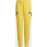 Pantalons de sport adidas Juventus dorés enfant Juventus de Turin 