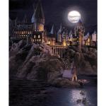 Papiers peints panoramiques gris foncé Harry Potter Poudlard 