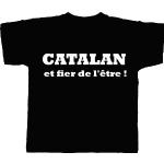 PATOUTATIS - T-Shirt - Motif Normand et Fier de l'être - Coupe Droite - col Rond - Mixte Homme/Femme - Taille XL - Coloris Noir