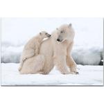 Paul Sinus Art WTD Toile décorative Motif ours polaire avec garçon 120 x 80 cm