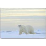 Paul Sinus Art WTD Toile décorative Motif ours polaire dans la neige 120 x 80 cm