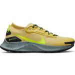 Nike Pegasus Trail 3 GORE-TEX Hommes Chaussures trail running EU 45 - US 11