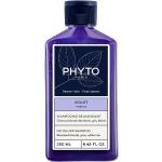 Shampoings Phyto 250 ml pour cheveux gris 