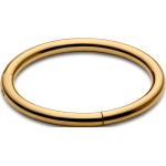 Piercings anneau Lucléon dorés en acier chirurgical pour homme 