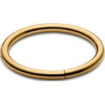 Piercings anneau Lucléon dorés en acier chirurgical pour homme 