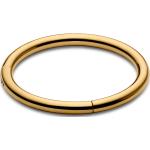 Piercings anneau Lucléon dorés en titane pour homme 