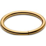 Piercings anneau Lucléon dorés en titane pour homme 
