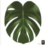 PLAGE 260212 Sticker smooth WC - Feuille tropicale