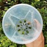 Pots de fleur en plastique en plastique de 24 cm diamètre 20 cm 