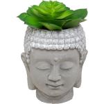 Plante artificielle Bouddha , pot en ciment, H12,5 cm