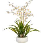 Plante artificielle Orchidée avec base naturelle