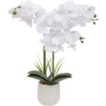 Orchidées artificielles Atmosphera blanches en céramique de 65 cm 