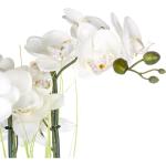 Orchidées artificielles Atmosphera argentées en céramique 