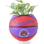 Plntrs - Wilson Raptors Hardcourt Classic Mini Basketball Planter Nouvelle Balle Avec Support