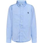 Chemises Ralph Lauren Polo Ralph Lauren Kids bleus clairs de créateur Taille 10 ans pour fille de la boutique en ligne Miinto.fr avec livraison gratuite 