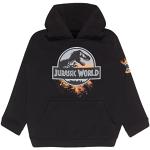 Sweats à capuche noirs à logo Jurassic World classiques pour garçon de la boutique en ligne Amazon.fr 