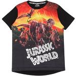 T-shirts à manches courtes noirs en lycra Jurassic World look fashion pour garçon de la boutique en ligne Amazon.fr 