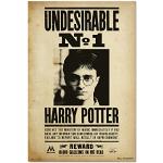 Grupo Erik - Poster Harry Potter Undesirable N1 - Deco Maison, Decoration Murale, Affiche Décorative