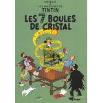 Posters en cristal Tintin 