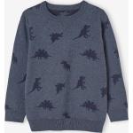 Pulls jacquard Vertbaudet bleus en coton à motif dinosaures pour garçon de la boutique en ligne Vertbaudet.fr 