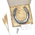 Piercings anneau de mariage argentés en fer à clous avec certificat d'authenticité look fashion pour femme 