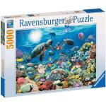 Puzzles Ravensburger 5.000 pièces 