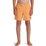 Boardshorts Quiksilver Everyday look fashion 