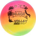 Ballons de beach volley 