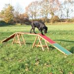 Rampe Trixie Dog Activity Agility L 456 x l 30 x H 64 cm - pour chien