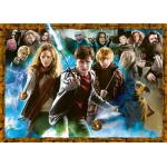 Puzzles Ravensburger Harry Potter Lord Voldemort 1.000 pièces plus de 12 ans 
