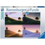 Puzzles de paysage Ravensburger 2.000 pièces plus de 12 ans en promo 