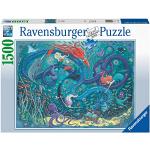 Puzzle panoramique - Ravensburger - Arc-en-ciel mystique - Paysage et  nature - 1000 pièces blanc - Ravensburger
