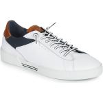Baskets basses Redskins blanches look casual pour homme 