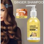 Shampoings à la bétaïne 100 ml anti chute anti pelliculaire pour cheveux secs 