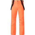 Pantalons de ski à motif Les Alpes imperméables Taille XL pour homme 