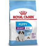 Royal Canin Giant Puppy pour chiot 2 x 15 kg