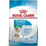 4kg Royal Canin Mini Starter Mother & Babydog - Croquettes pour chien