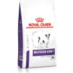 Nourriture Royal Canin pour chien stérilisé petite taille adulte 