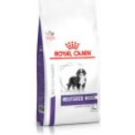 Nourriture Royal Canin pour chien stérilisé 