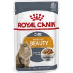 Nourriture Royal Canin pour chat adulte 