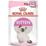 Patés Royal Canin Instinctive pour chat chatons 