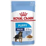 Patée Royal Canin Size en fer à motif chiens pour chien chiot 